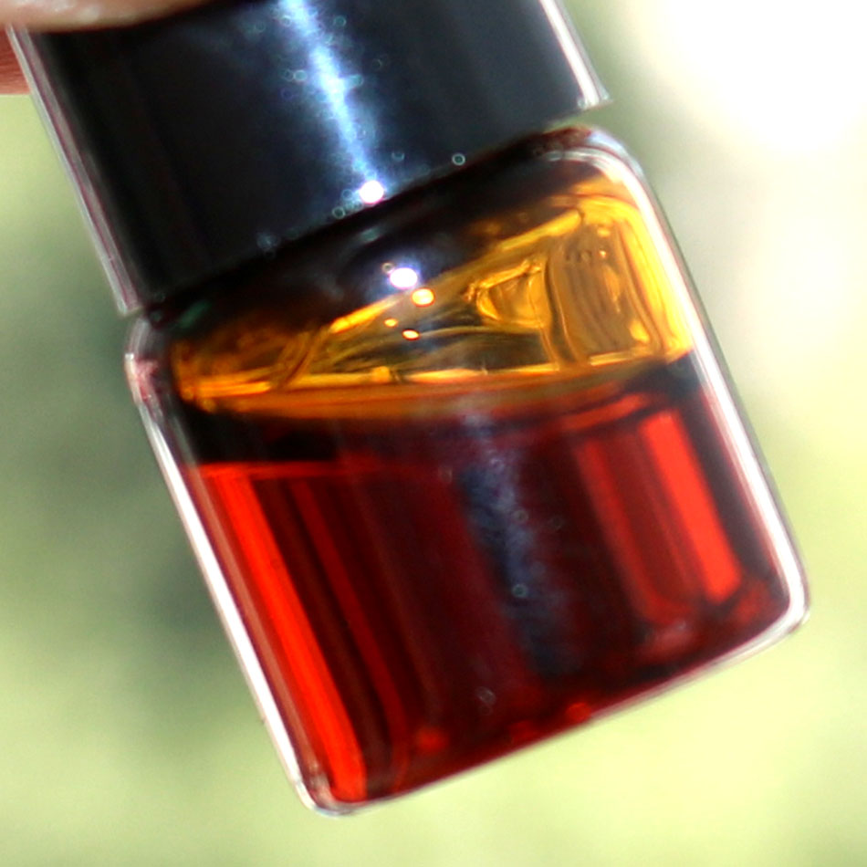 1ml/병 정통 천연 캄보디아 Oud 순수 에센셜 오일 - Sandalwood Perfume Oil 리뷰 및 가격