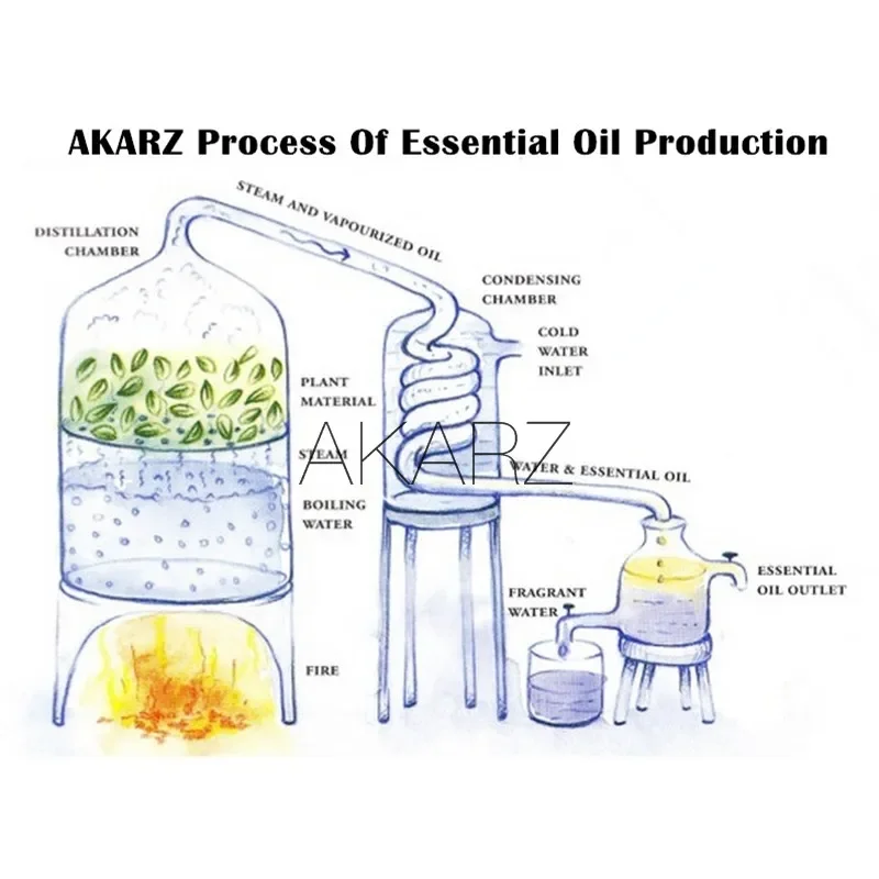 AKARZ 독특한 희귀 에센셜 오일 아로마 테라피 디퓨 - Sandalwood Perfume Oil 리뷰 및 가격